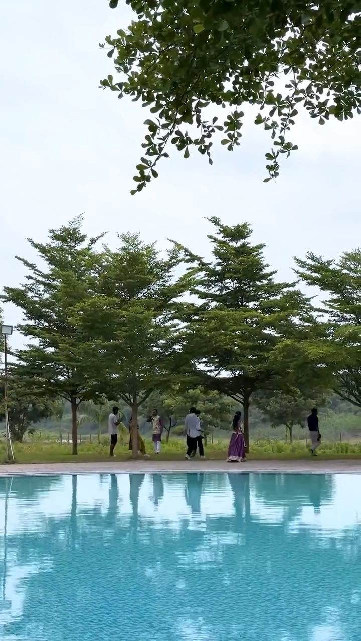 Pool lined with trees